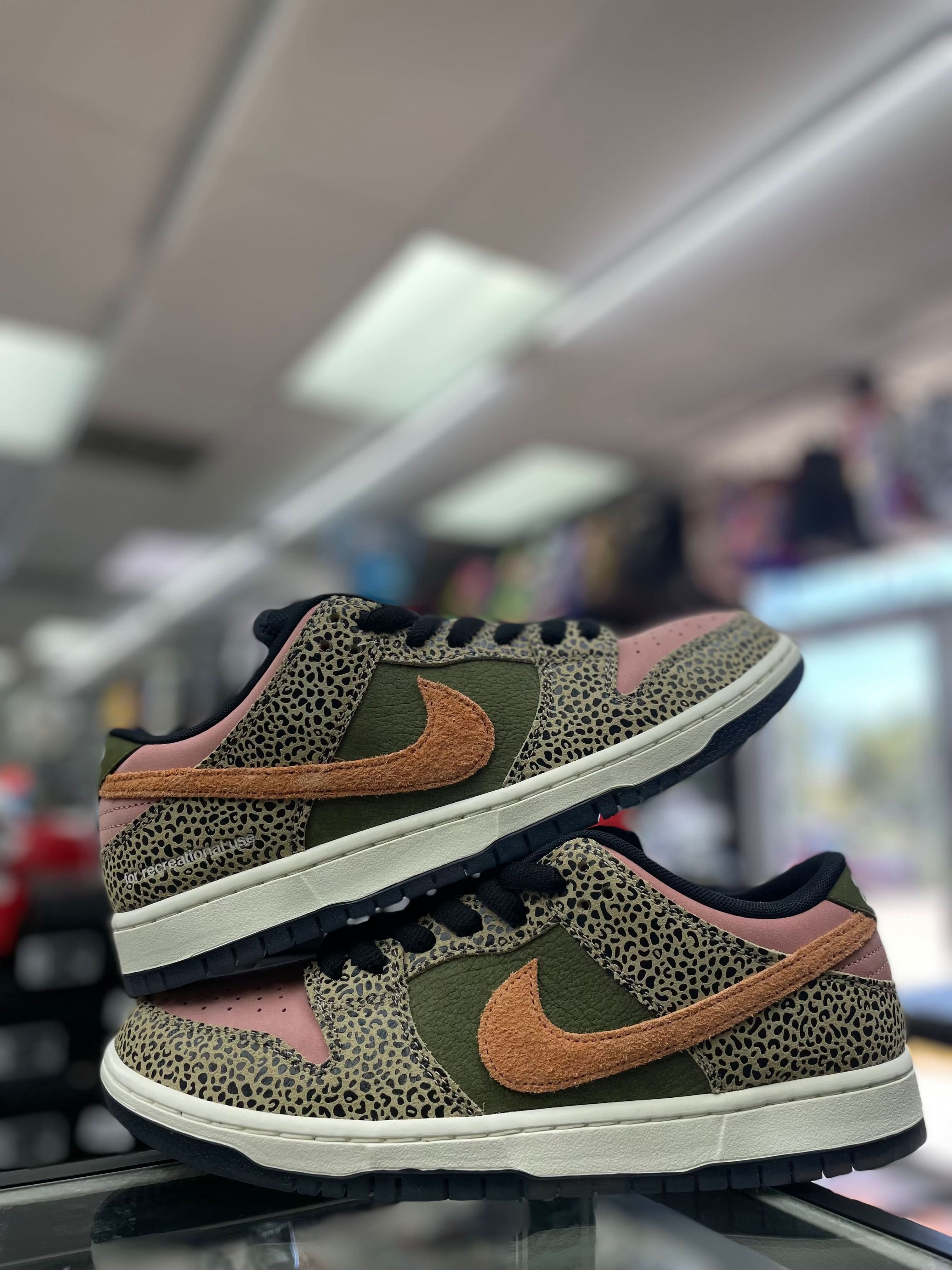 Nike Sb Dunk Low “ Arts-Rec”