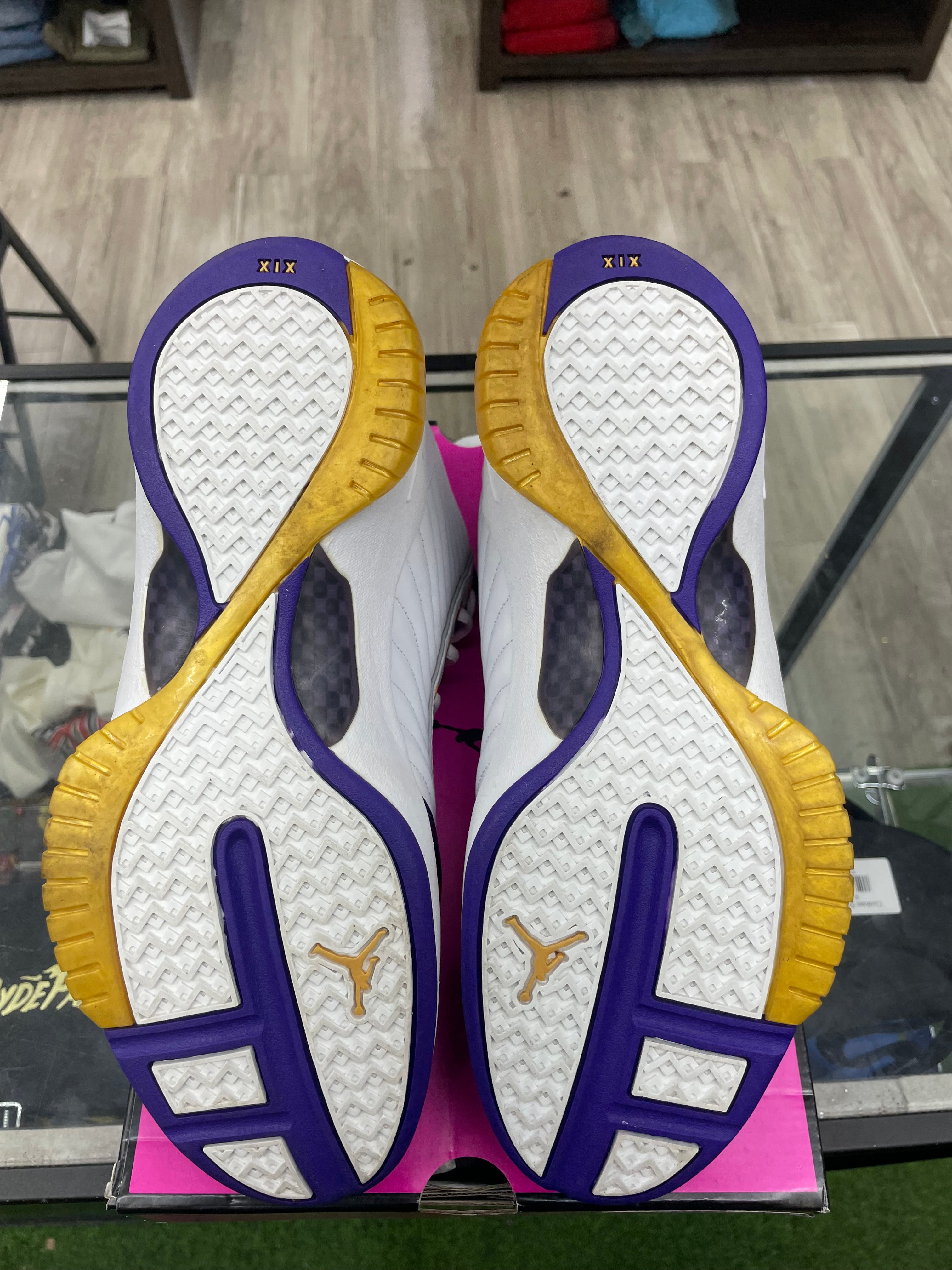 Air Jordan Retro 19 “West Coast” *Size 11 Preowned*