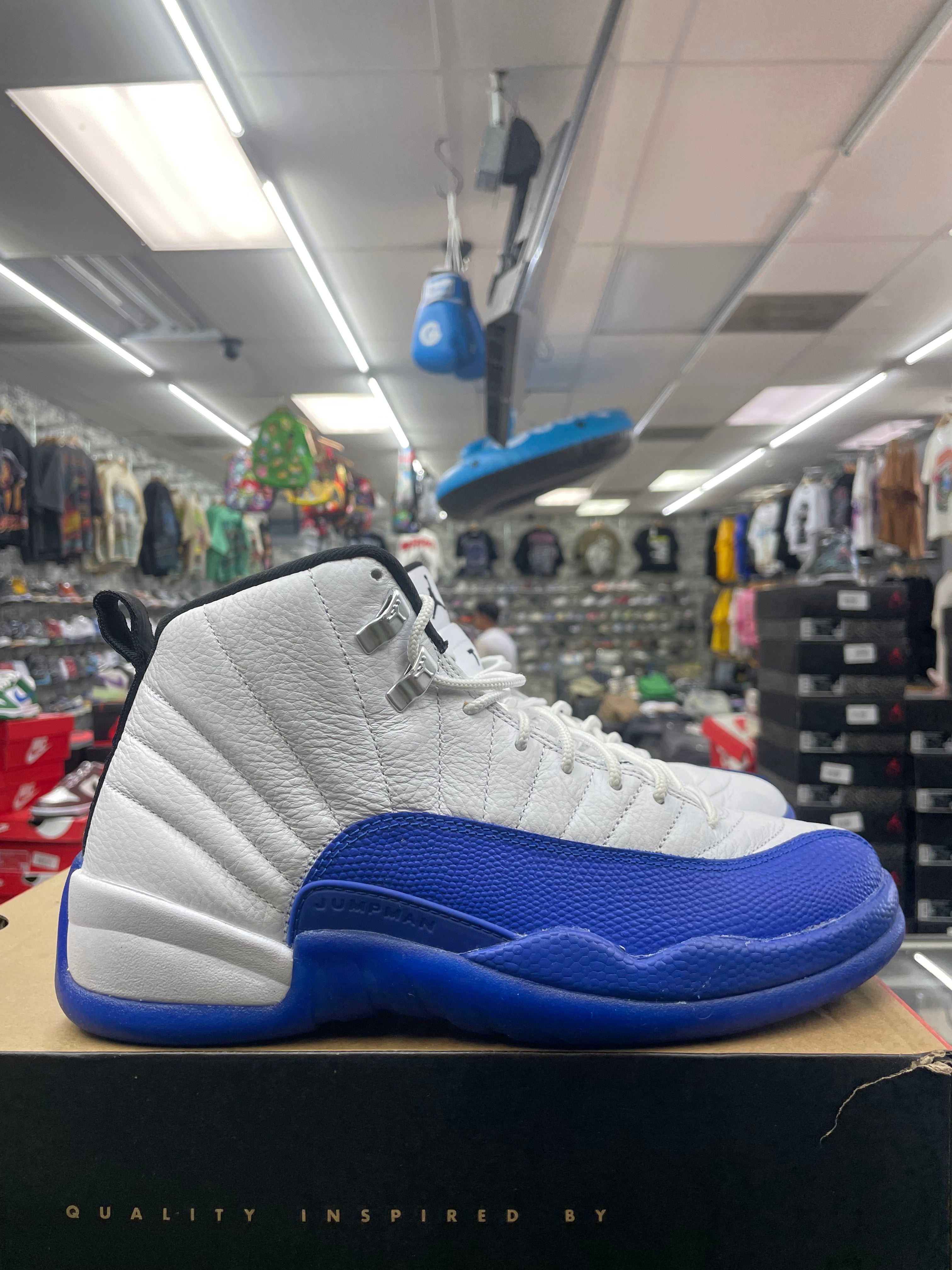 Air Jordan Retro 12 "Blueberry" *Size 8.5 Preowned*