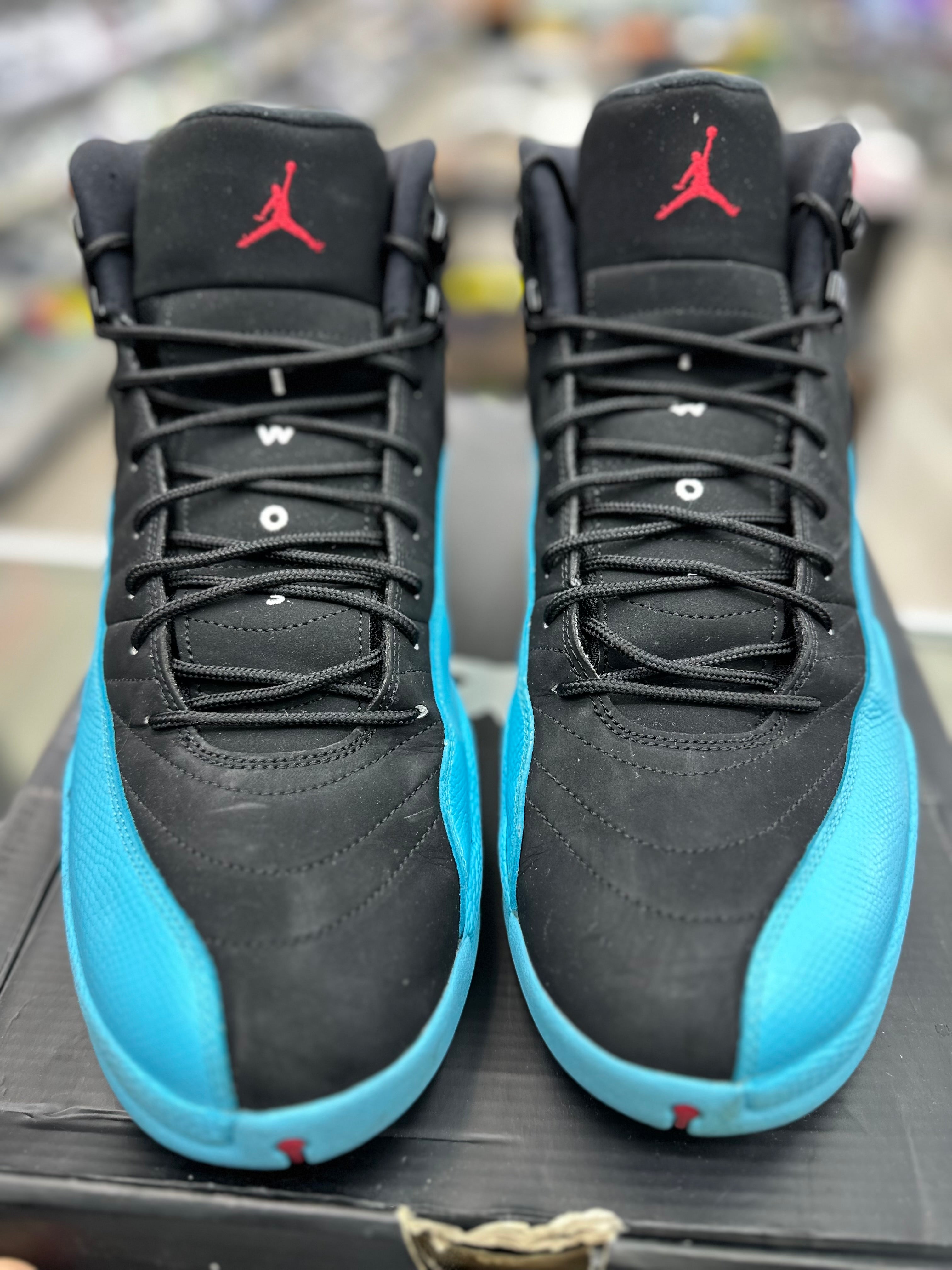 Air Jordan Retro 12 "Gamma Blue" *Size 13 Preowned*