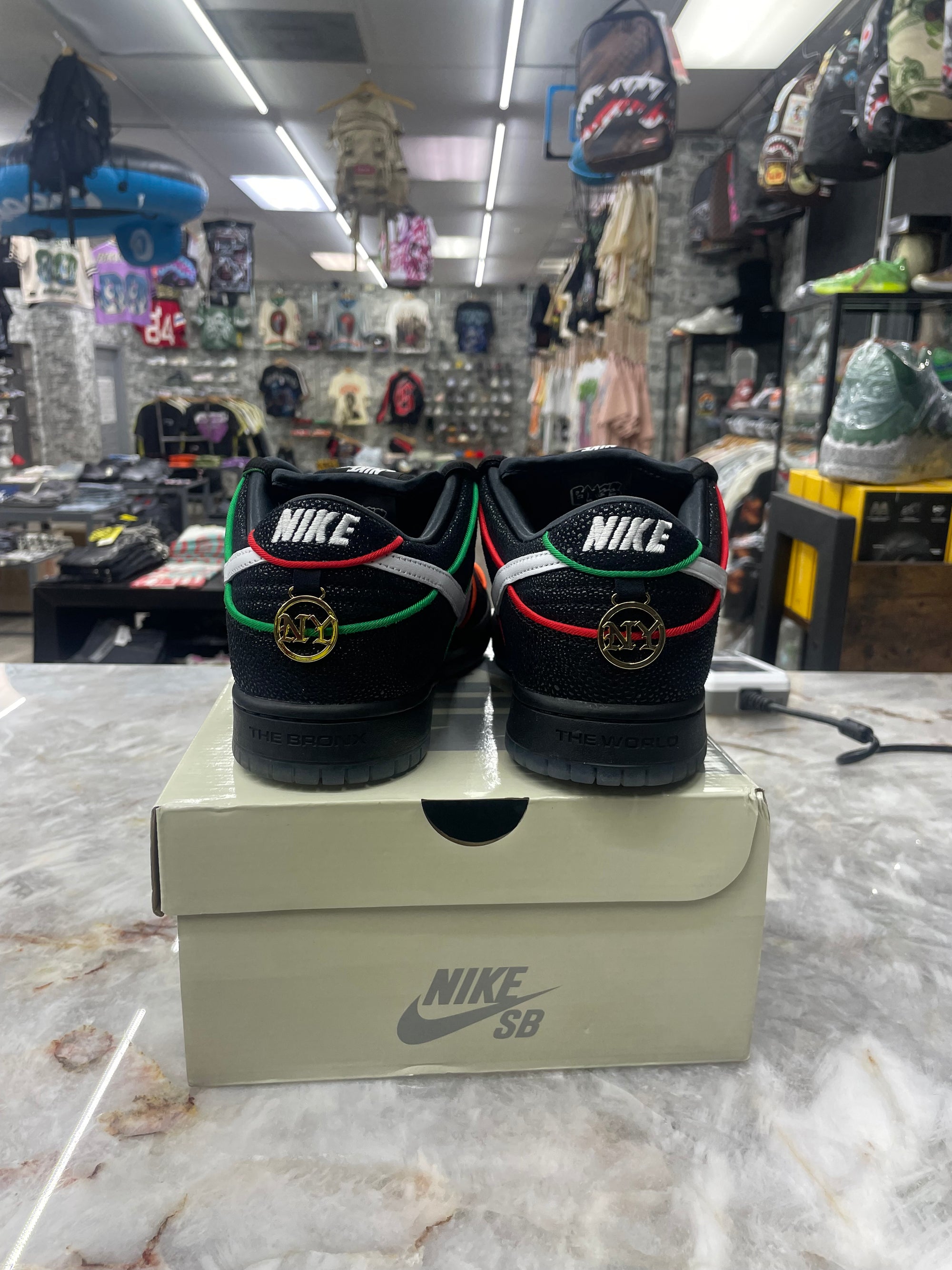 Nike SB Dunk Low “Bronx Girls Skate” *Size 11 Preowned* (HV1664-001)