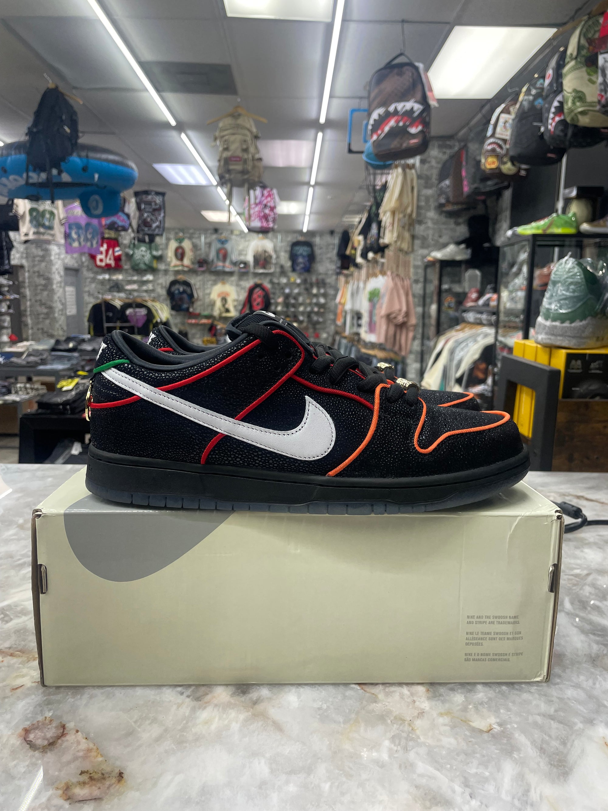 Nike SB Dunk Low “Bronx Girls Skate” *Size 11 Preowned* (HV1664-001)