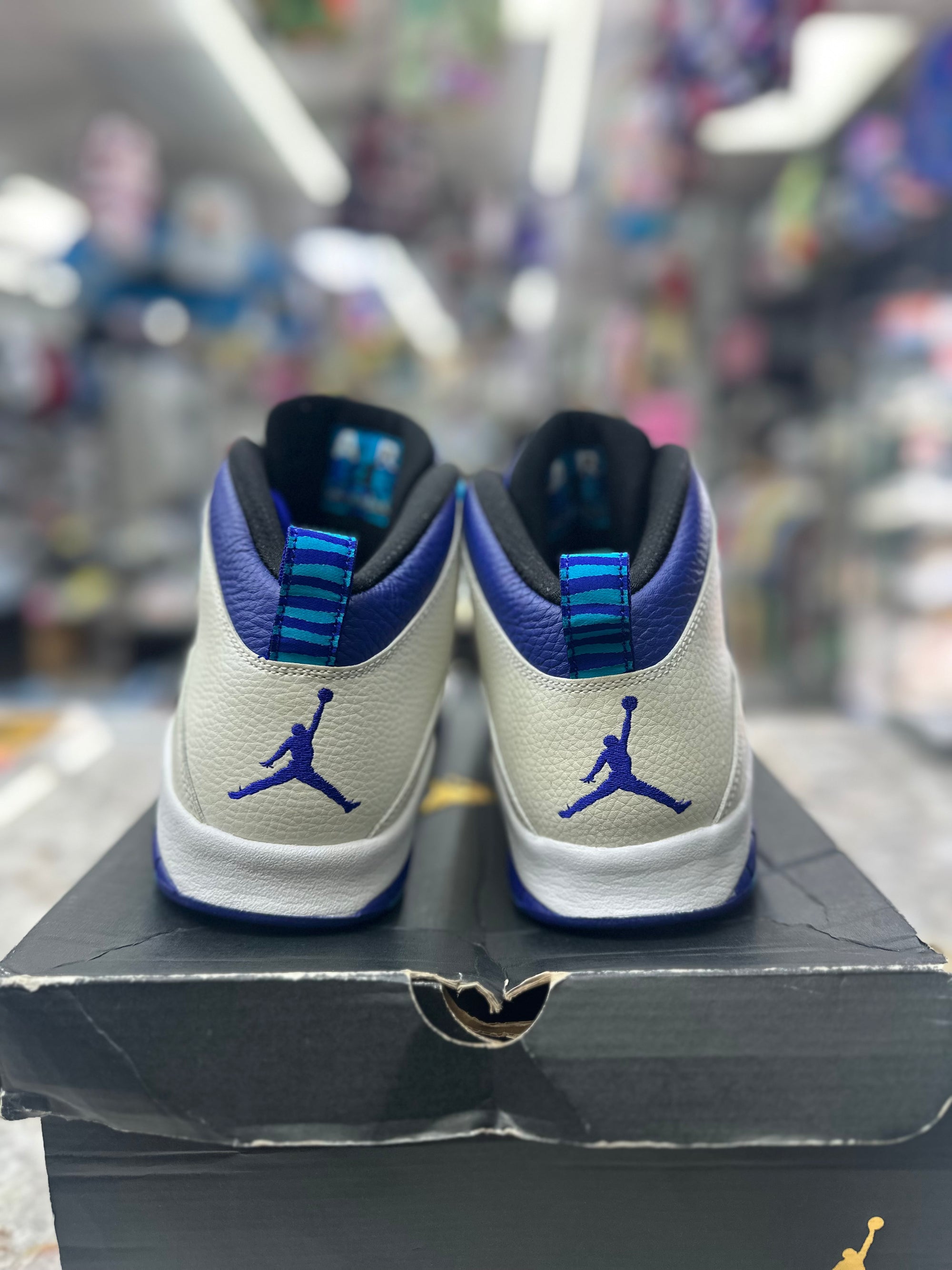 Air Jordan 10 Retro "Charlotte" *Size 12 Preowned* 310805-107