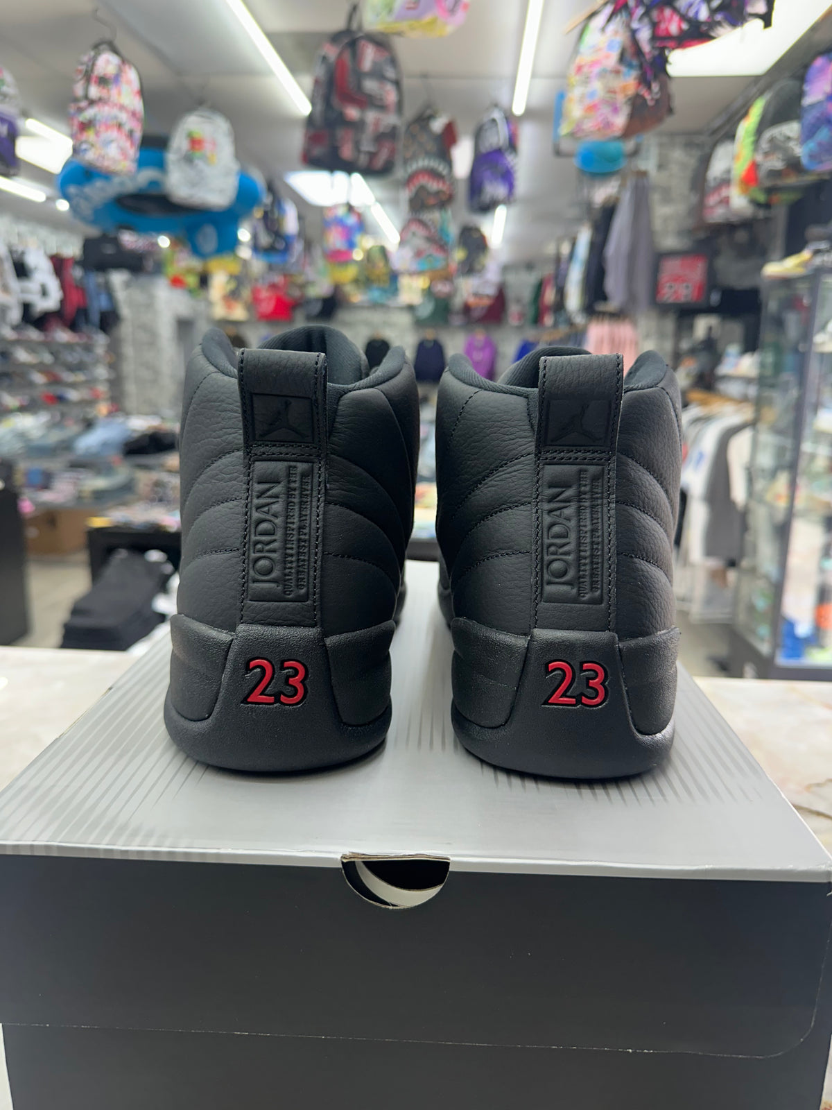 Air Jordan 12 Retro "Bloodline" *Size 11 Preowned* CT8013-003