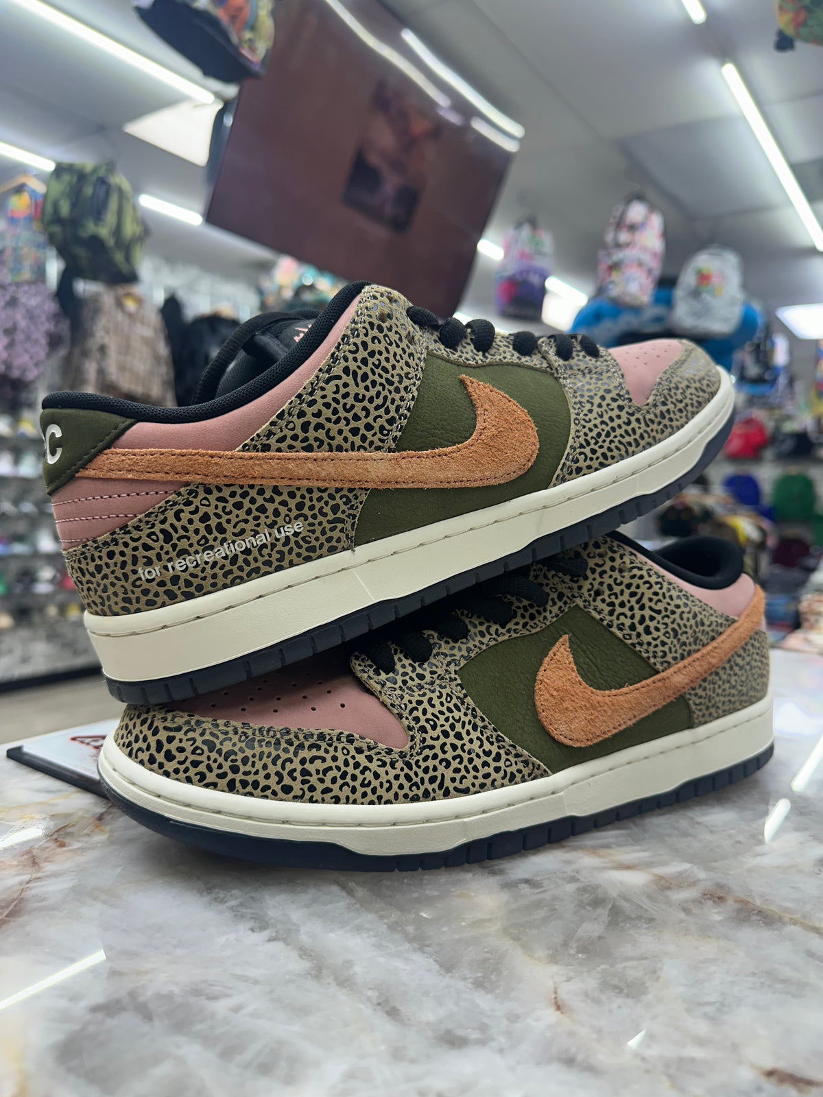 Nike Dunk Low SB "ARTS-REC" IH3211-200