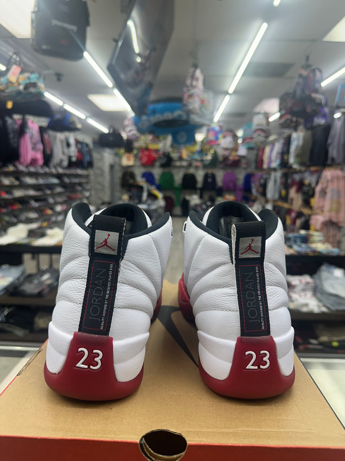 Air Jordan 12 Retro "Cherry" *Size 10.5 Preowned* CT8013-116