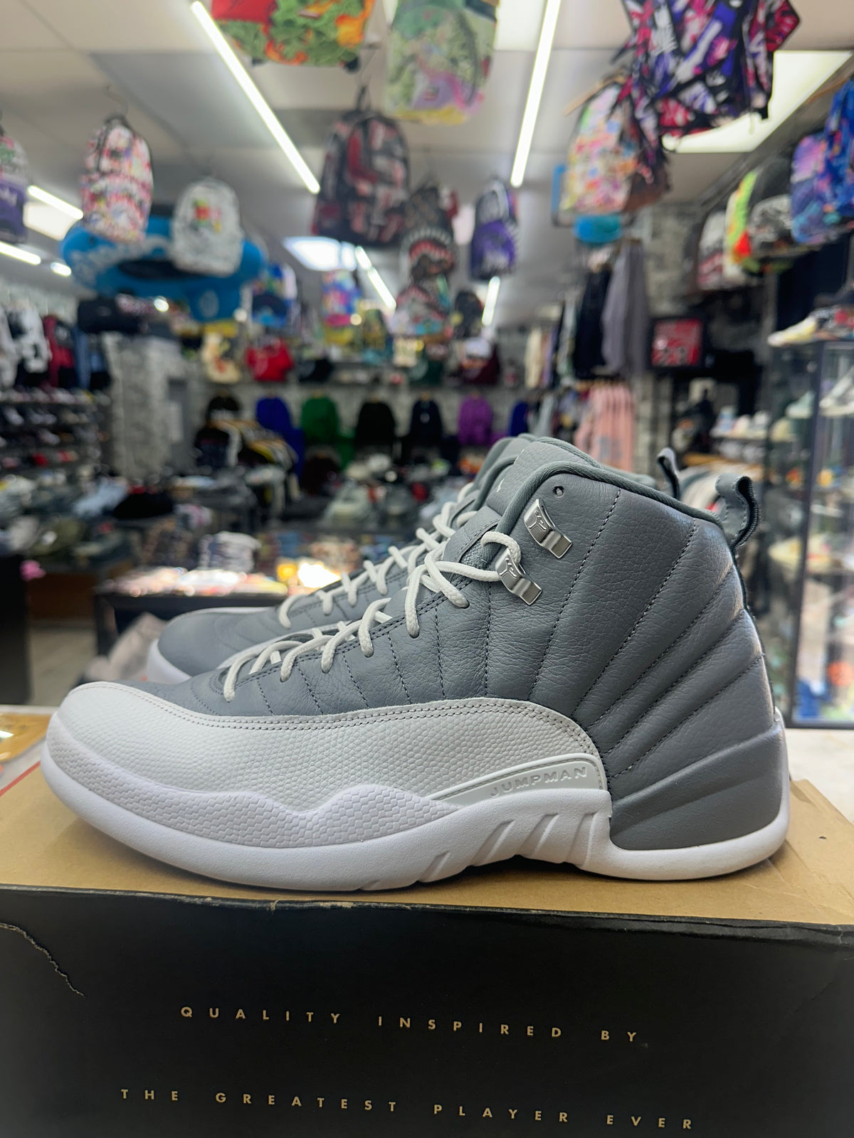 Air Jordan 12 Retro "Stealth" *Size 12 Preowned* CT8013-015