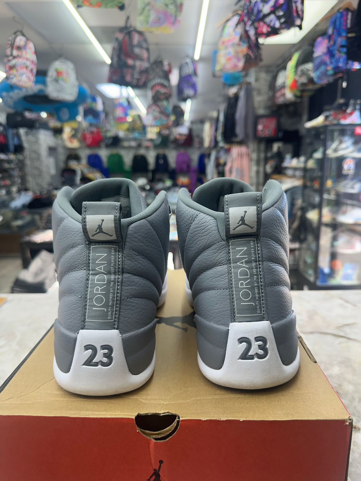 Air Jordan 12 Retro "Stealth" *Size 12 Preowned* CT8013-015